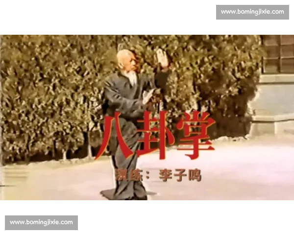 八卦掌vs传统武术实战对比解析与当代格斗价值探讨全面研究趋势 八卦掌vs传统武术实战对比解析与当代格斗价值探讨全面研究趋势